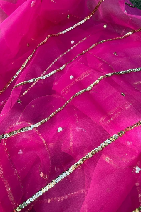 ORGANZA SEQUENCE DUPATTA (S PINK) - Lubana Store