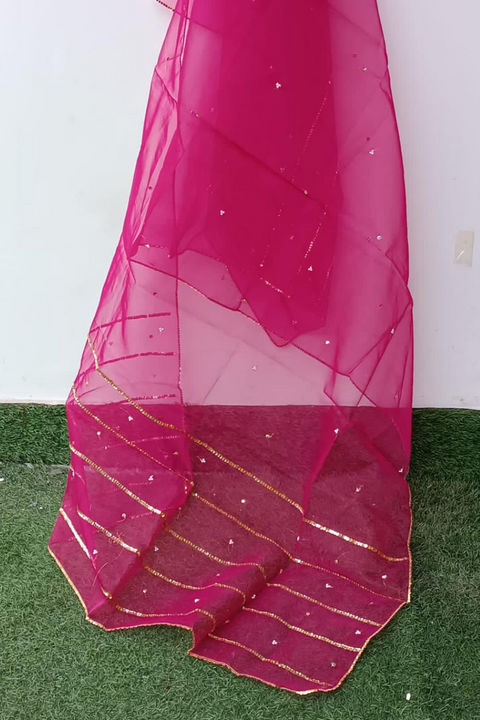 ORGANZA SEQUENCE DUPATTA (S PINK) - Lubana Store