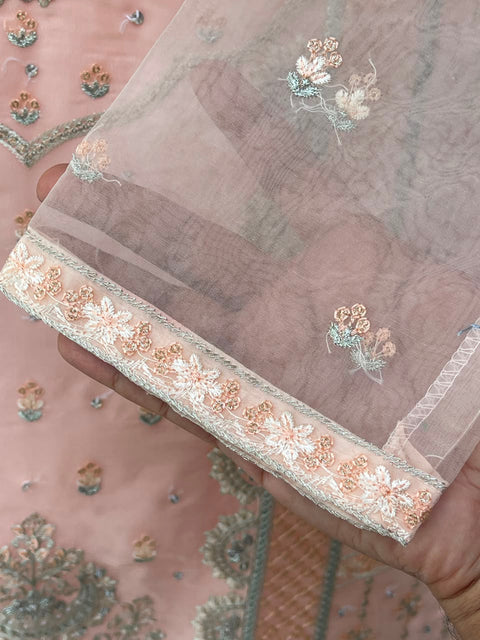 ALANZI 1 (PEACH)