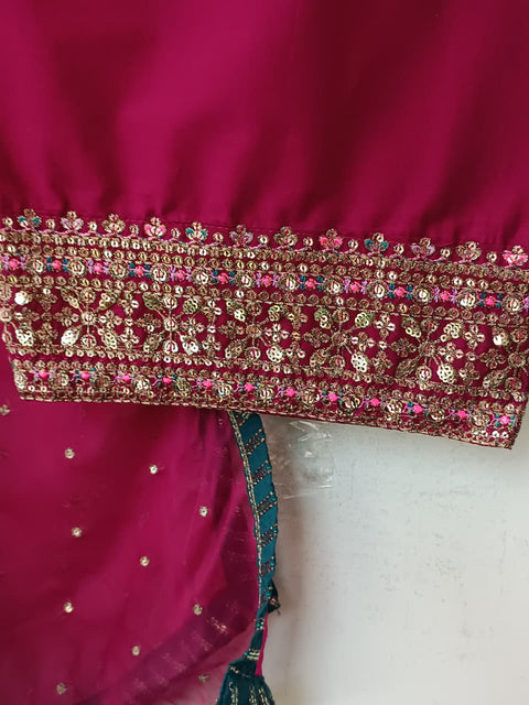 ANDAZ CH (ROYAL GARNET)
