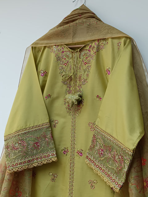 ARBISH 01 (OLIVE)