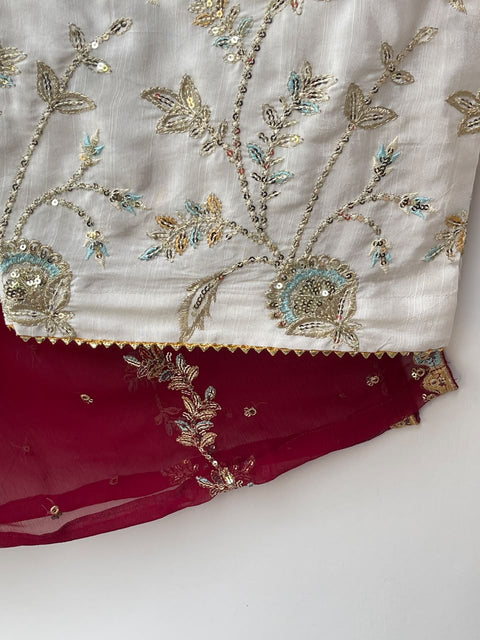 DAMNI (MAROON)