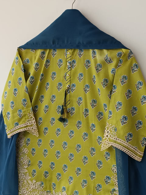 DILSHAD KIDS (MEHNDI)