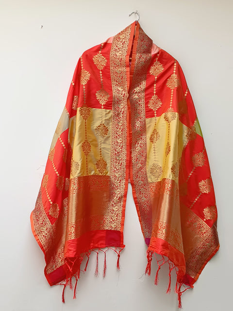 INDIAN BNARSI MULTI SHAWL