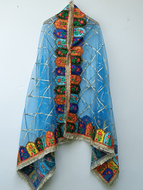 MULTI BORDER NET DUPATTA