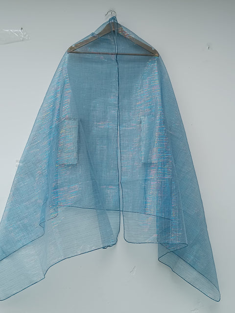 ORGANZA SHIMRI DUPATTA (SKY)
