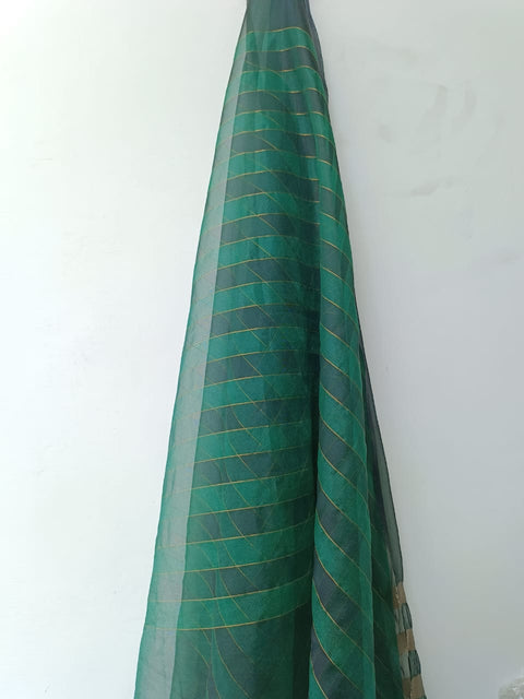ORGANZA DUPATTA (GREEN)