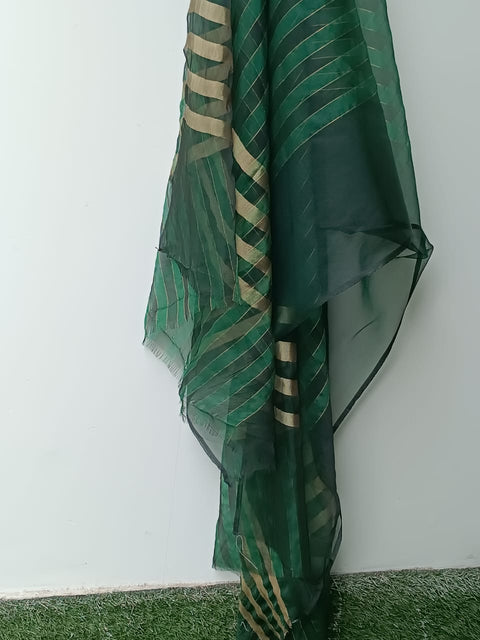 ORGANZA DUPATTA (GREEN)