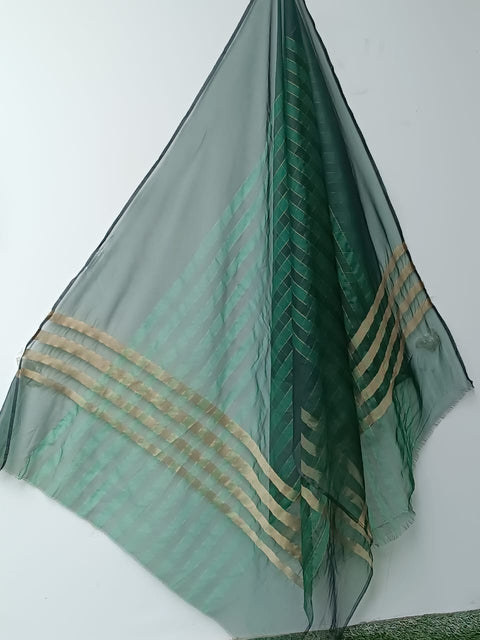 ORGANZA DUPATTA (GREEN)