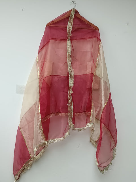 ORGANZA DUPATTA (RED & SKIN)