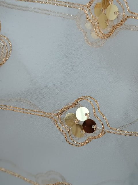 ORGANZA DUPATTA  SEQUENCE