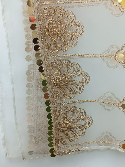 ORGANZA DUPATTA  SEQUENCE