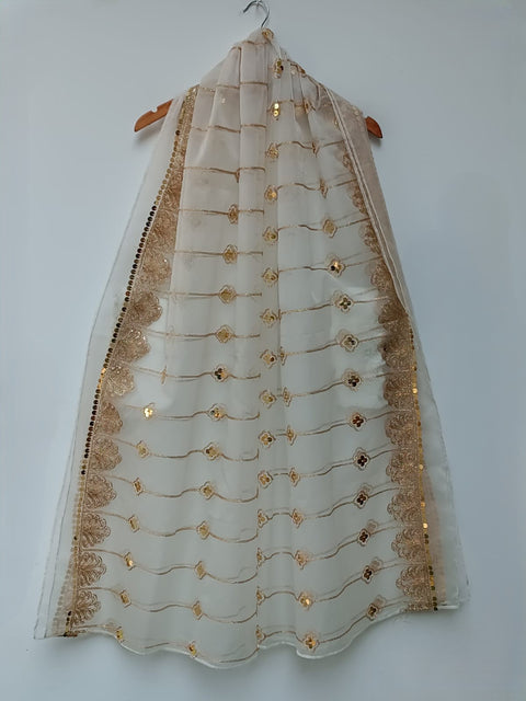 ORGANZA DUPATTA  SEQUENCE