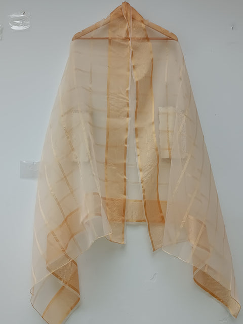 ORGANZA DUPATTA (SKIN)
