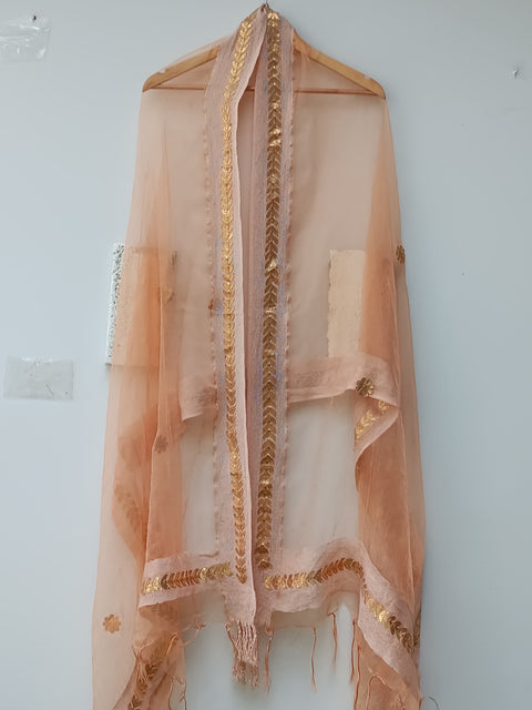ORGANZA SILK DUPATTA 1 (HAZEL)