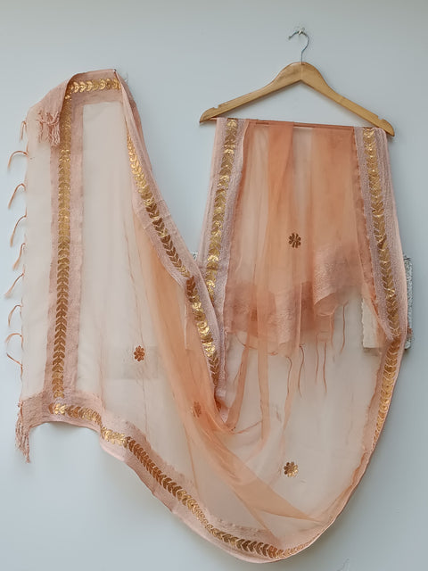 ORGANZA SILK DUPATTA 1 (HAZEL)