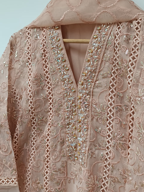 SAHELI 29 (PEACH)