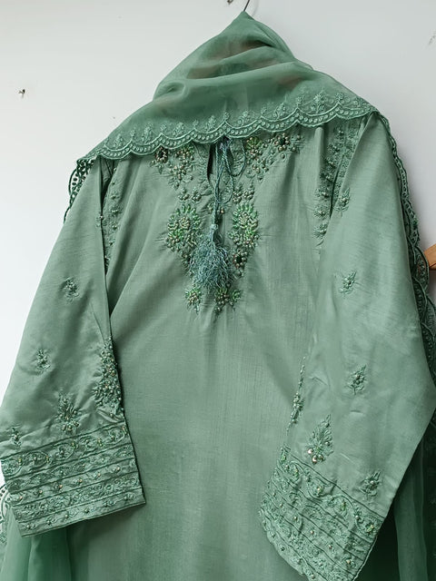 AREEBA (PISTA)