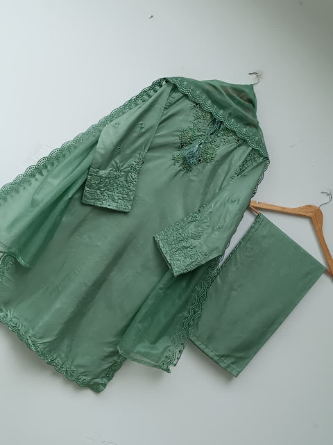 AREEBA (PISTA)